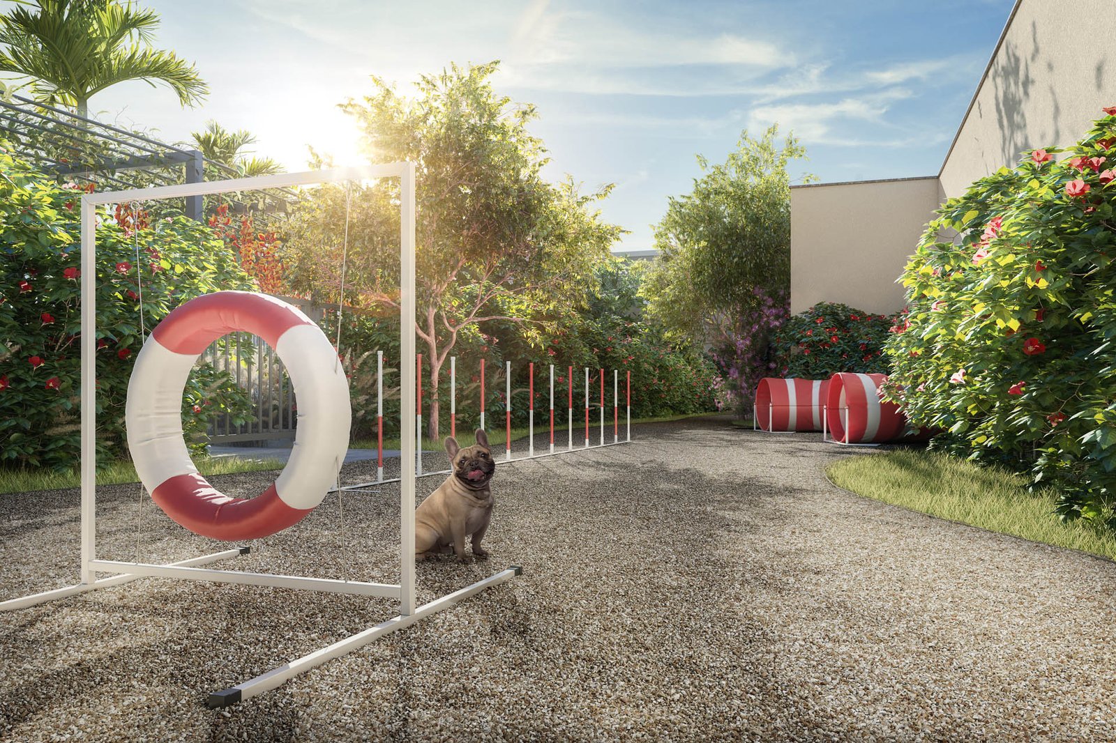 Yard Cambuí - Pet Place